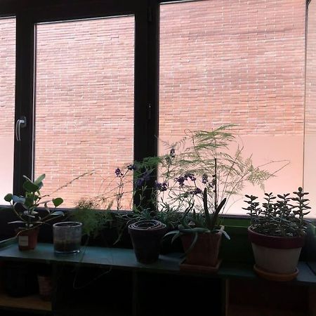 Logement De Charme Aux Carmes Tuluza Zewnętrze zdjęcie