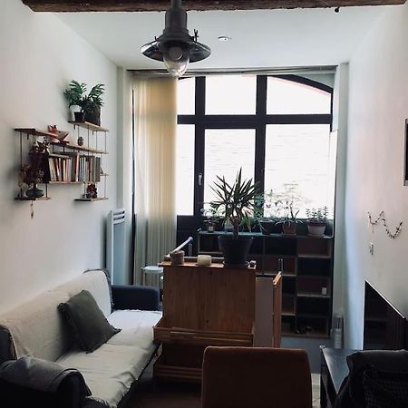 Logement De Charme Aux Carmes Tuluza Zewnętrze zdjęcie