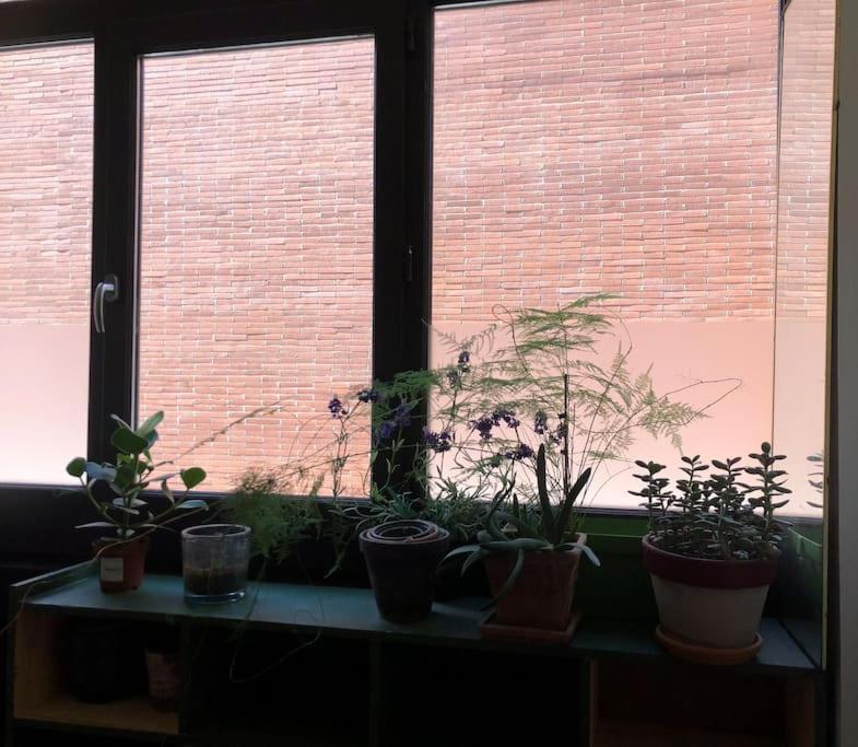 Logement De Charme Aux Carmes Tuluza Zewnętrze zdjęcie