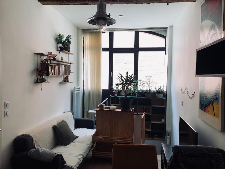 Logement De Charme Aux Carmes Tuluza Zewnętrze zdjęcie